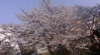 2012-04-26 001 2012-04-25 001