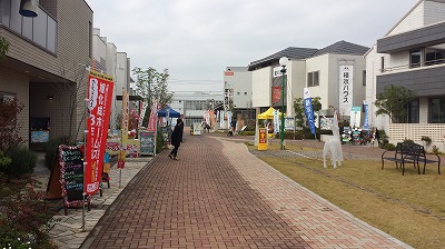 20141124_111112.jpg