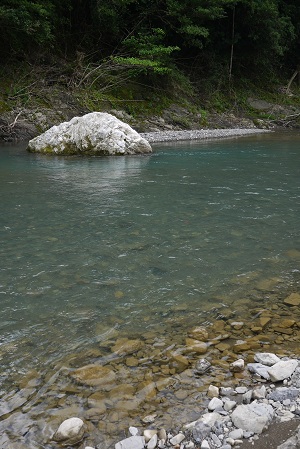 P1030764.jpg