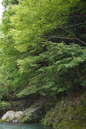 P1030776.jpg