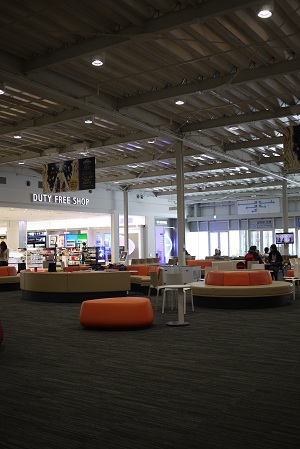 P1040539.jpg
