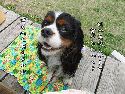 くぅちゃん大好きっちゃ♪