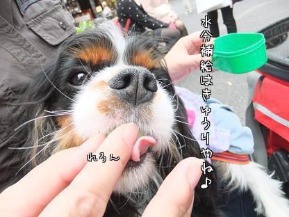 くぅちゃん大好きっちゃ♪