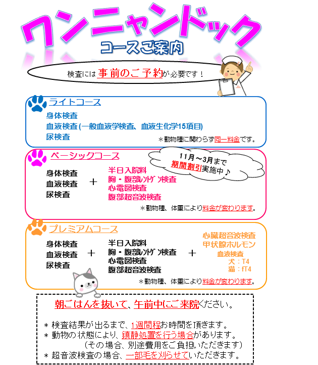 ワンニャンドック