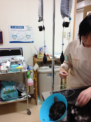 s-IMG_6624.jpg