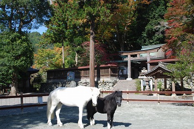 DSC_8794.jpg