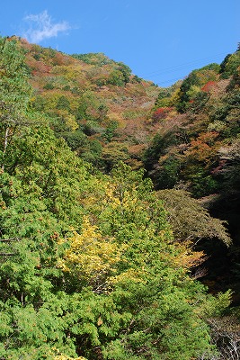 DSC_8795.jpg