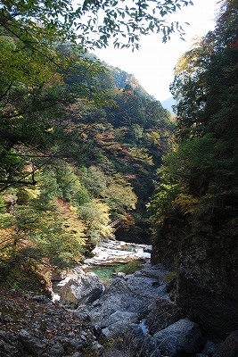 DSC_8802.jpg