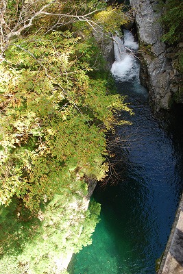 DSC_8806.jpg