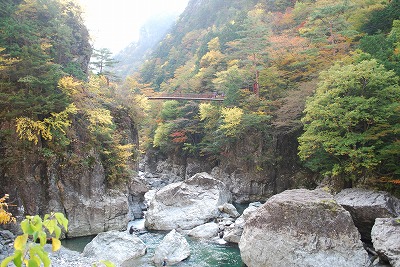 DSC_8810.jpg