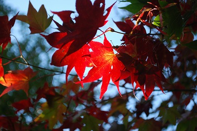 DSC_8819.jpg