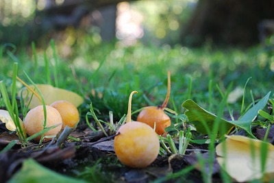 DSC_8824.jpg