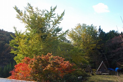 DSC_8827.jpg
