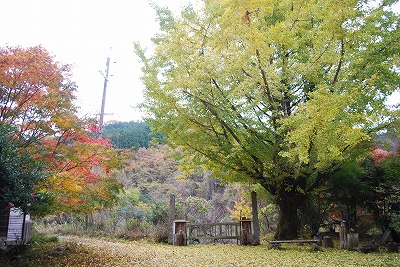 DSC_8829.jpg