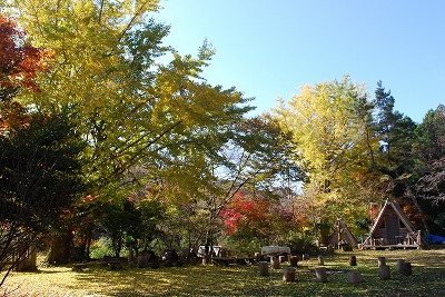 DSC_8835.jpg