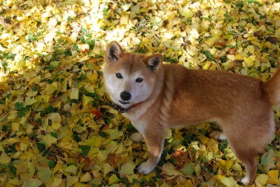 DSC_8838.jpg