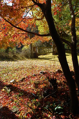 DSC_8840.jpg
