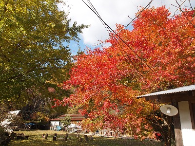 PB140187.jpg