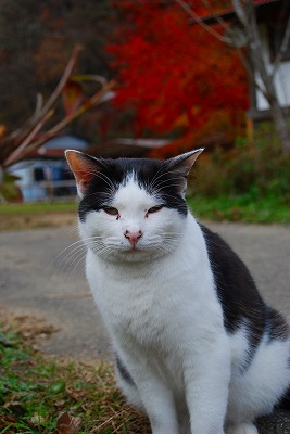 s-DSC_5935_20141106122456c07.jpg