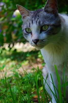 s-DSC_6848_201411261244255e1.jpg
