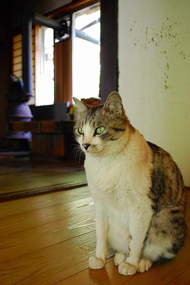 s-DSC_8174_20141126124428f10.jpg