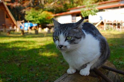 s-DSC_8615.jpg