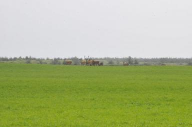DSC_9769.jpg