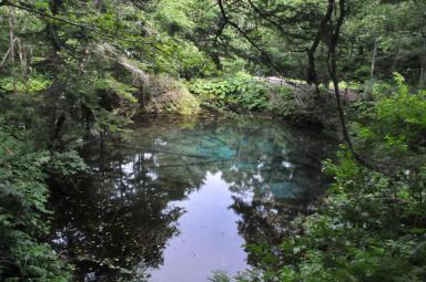 DSC_9794.jpg