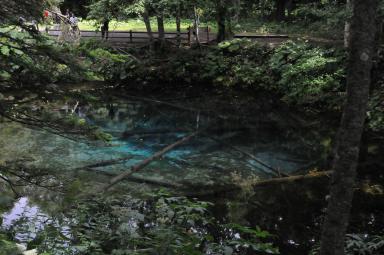 DSC_9797.jpg