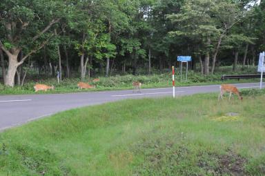 DSC_9867.jpg