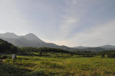 DSC_9895.jpg