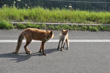 DSC_9909.jpg
