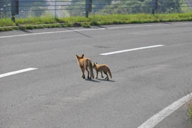 DSC_9915.jpg