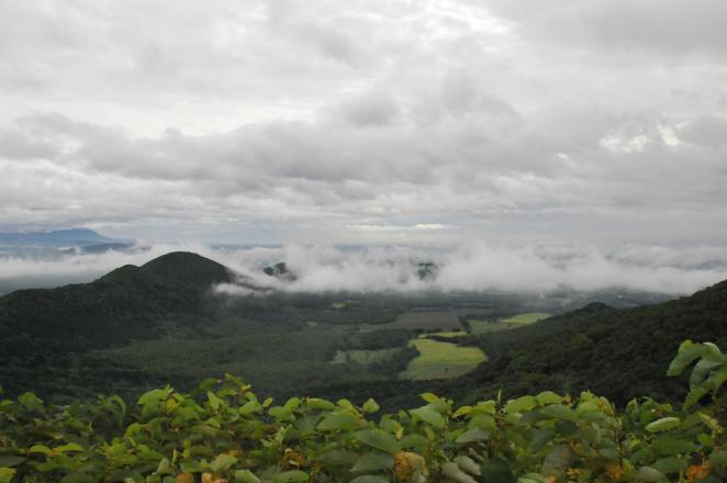 DSC_9946.jpg