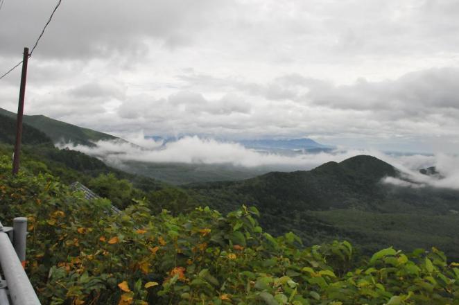DSC_9947.jpg