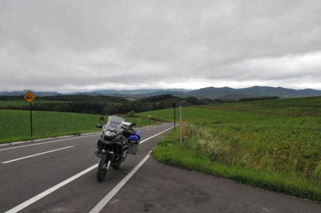 DSC_9982.jpg