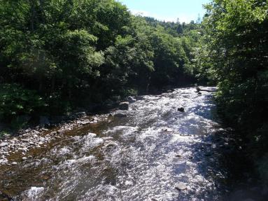 R1023140.jpg