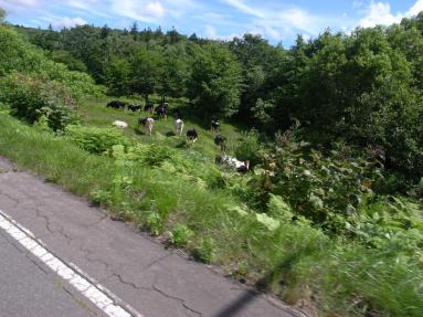 R1023147.jpg