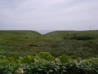 R1023275.jpg