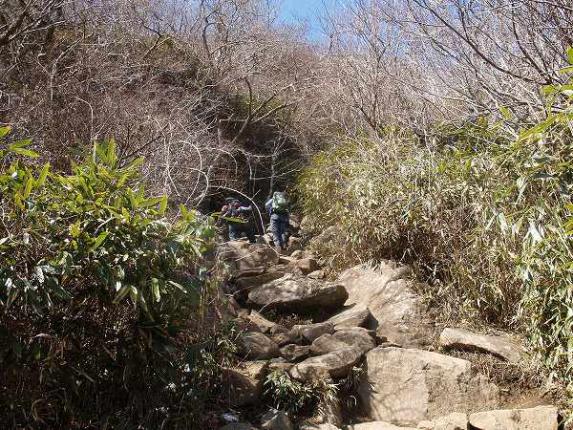 tozan03.jpg