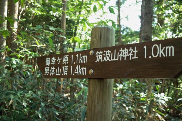 tozan11.jpg