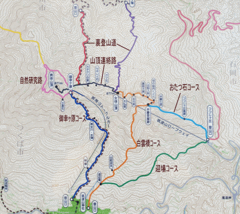 tozan30.gif