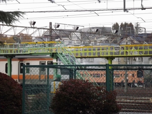 DSCF7429.jpg