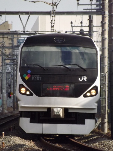 DSCF9179.jpg