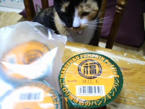 トリアーエズ