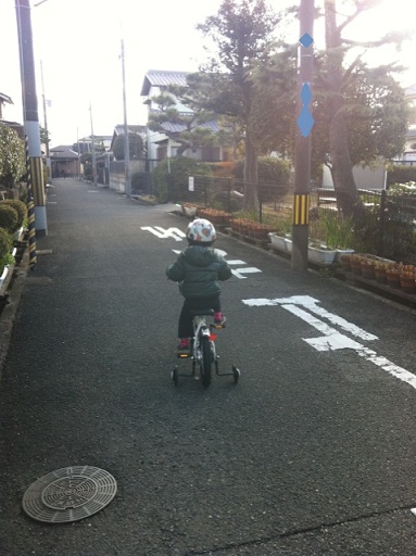 IMG_0014_20130113021614.jpg