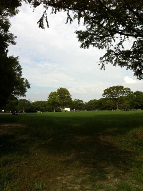 IMG_2775_20120927172218.jpg