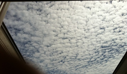 IMG_9263_20120913144544.jpg