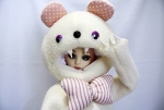 20140128b.jpg