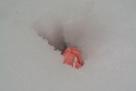 20140209b.jpg